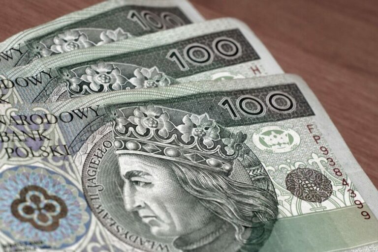 Read more about the article Jak inwestować 100 złotych miesięcznie? Inwestowanie małych kwot