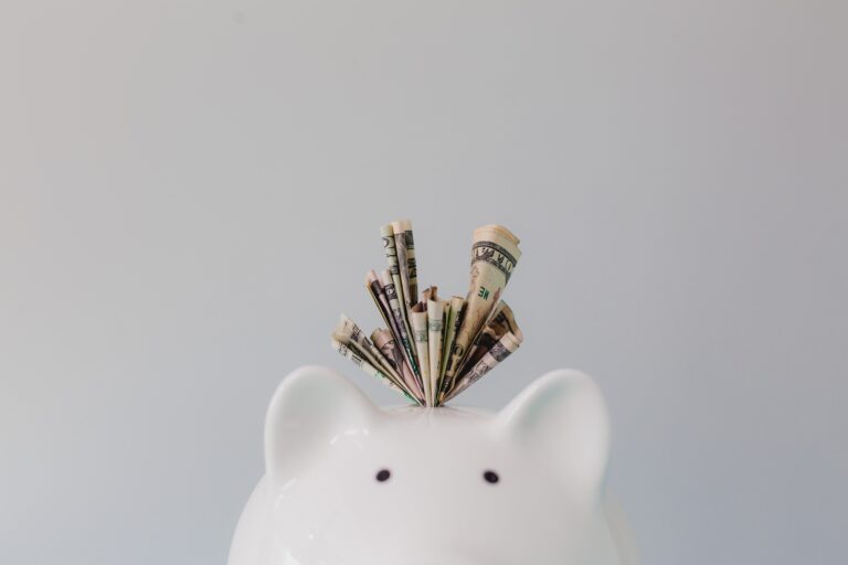 Read more about the article Jak zyskownie przechowywać waluty obce (EUR, USD)?